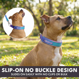 90s Retro Martingale Collar||size:C,D,E