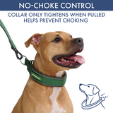 Green Martingale Collar||size:C,D,E