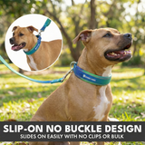 Lime Wave Martingale Collar||size:C,D,E
