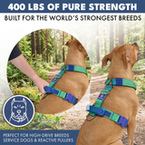 Lime Wave Harness||size:S,M,L
