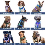 Komfort-Kontrolle No-Pull Hundegeschirr - Schwarz