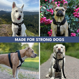 Komfort-Kontrolle No-Pull Hundegeschirr - Schwarz