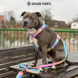 Pastel Icing Harness||size:S,M,L