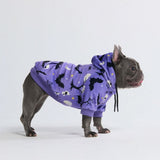 Halloween Hundehoodie (Limitierte Auflage)