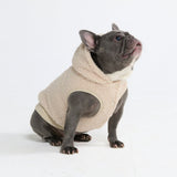 Teddy Sherpa Dog Jacket - Beige