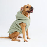 Teddy Sherpa Dog Jacket - Light Green