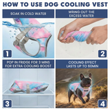 Snow cone Cooling Vest||size:S,M,L,XL,2XL,3XL,4XL