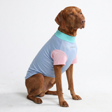 Sorbet Shirt||size:2XL,3XL