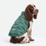 Green Thermosonic Winter Jacket||size:XL