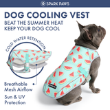 Watermelon Cooling Vest||size:S,M,L,XL,2XL,3XL,4XL
