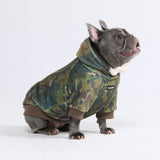 Hunde-Hoodie aus Betonholz – Moos
