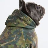 Wood Moss Hoodie