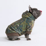 Hunde-Hoodie aus Betonholz – Moos