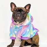 Halloween Hund Hoodie - Einhorn