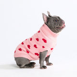 Hearts Knit Dog Sweater