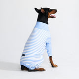 Hunde Pyjama - Blaue Streifen