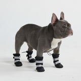 Hunde-Regenstiefel, Wasserdichte Hundeschuhe - Schwarz
