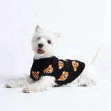 Gestrickter Hundepullover - Kaputtes Teddybär