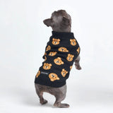 Gestrickter Hundepullover - Kaputtes Teddybär