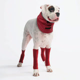 Stretchy Fleece Dog Leg Warmer Sleeves - Red