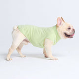 Sunblock Dog T-Shirt - Light Sage