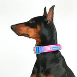 Taktisches Halsband für große Hunde - Rosa-Blau