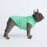 Sunblock Hunde-T-Shirt – Mint