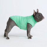 Sunblock Hunde-T-Shirt – Mint