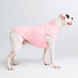 Sunblock Dog T-Shirt - Pink
