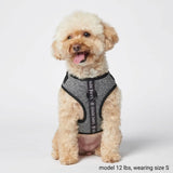 Superweiches Activewear Hundegeschirr - Grau