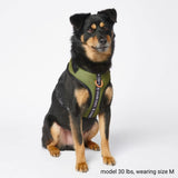 Ultra Soft Activewear Dog Harness - Green
