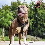 Komfort-Kontrolle No-Pull Hundegeschirr set - Schwarz