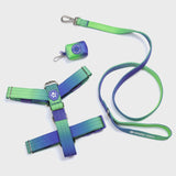 Komfort-Kontrolle No-Pull Hundegeschirr set - Limewelle