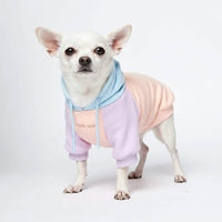 Bonbon Hunde Hoodie