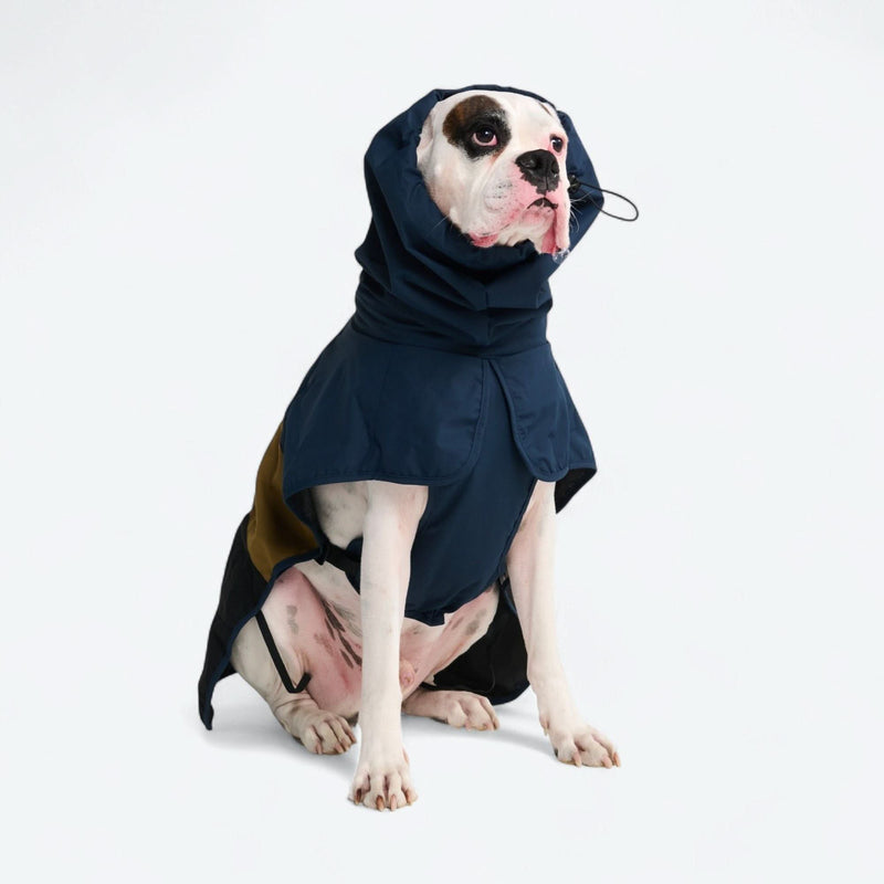 Breatheshield™ Dog Raincoat - Blue Gold Black