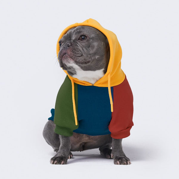 Buntstift Farbe Block Hund Hoodie