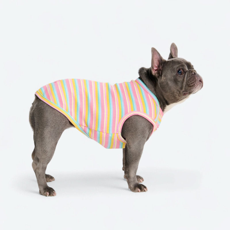 Pink Yellow Stripe Shirt