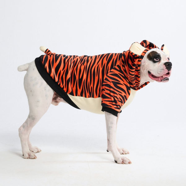 Halloween Hund Hoodie - Tiger