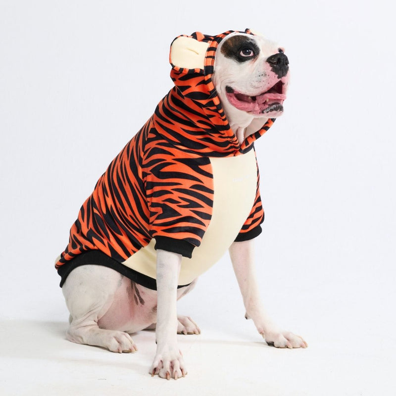 Halloween Hund Hoodie - Tiger