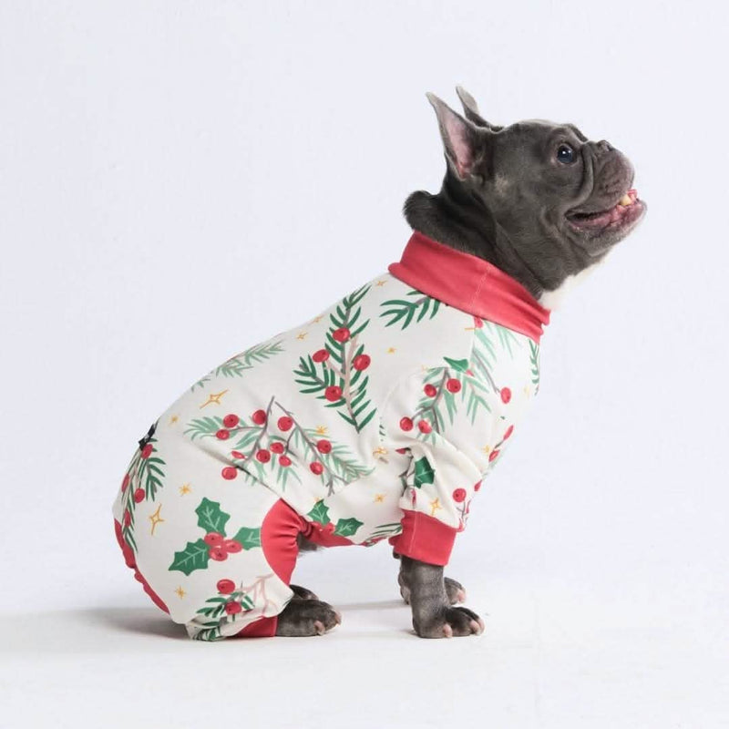 Weihnachtspyjama für Hunde - Mistel