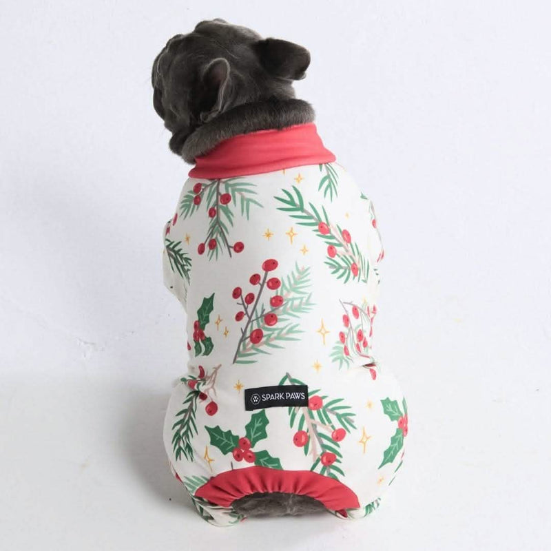 Weihnachtspyjama für Hunde - Mistel