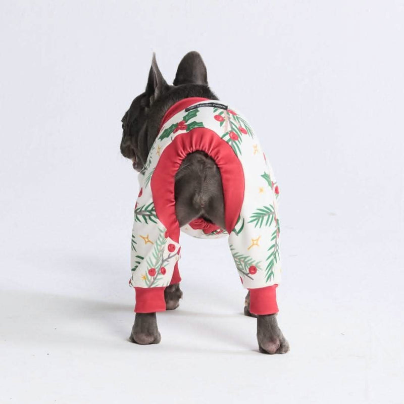 Weihnachtspyjama für Hunde - Mistel