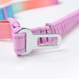 Multipurpose Seatbelt Handsfree Leash & Poop Bag Holder Set - Pastel Icing