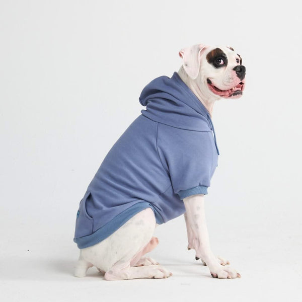 Essentielles Hunde Hoodie - Schieferblau