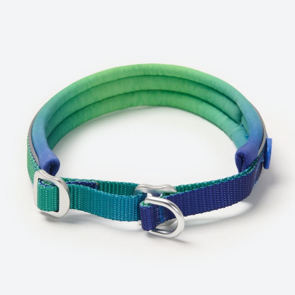 Lime Wave Martingale Collar||size:A,B