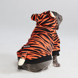 Halloween Hund Hoodie - Tiger