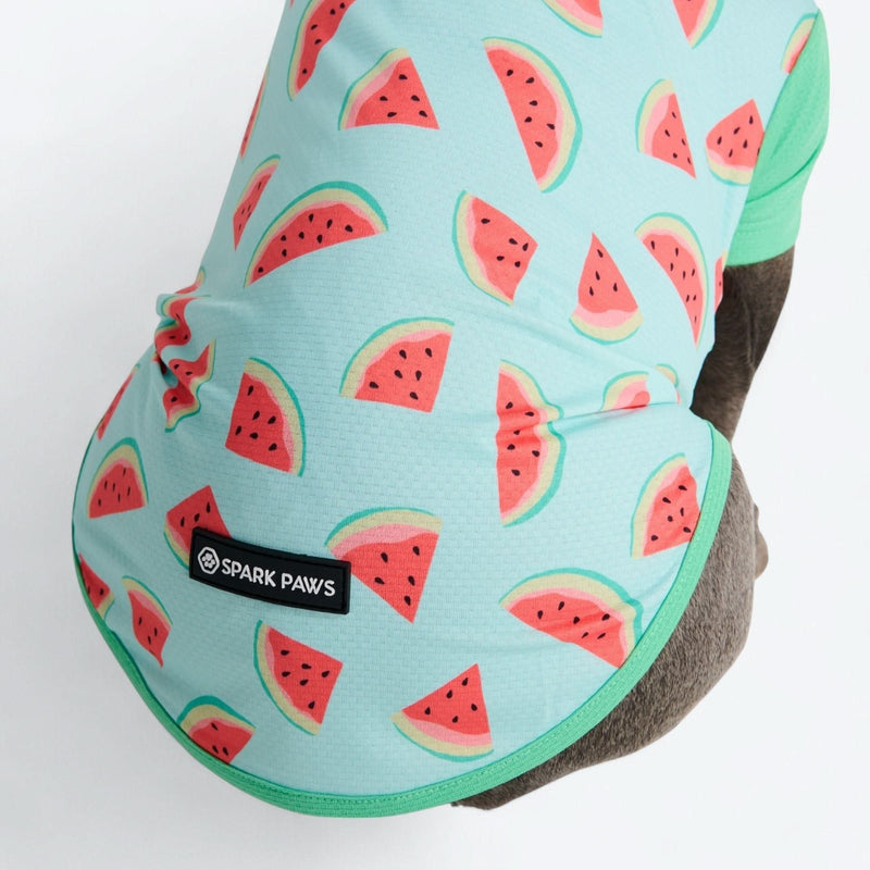 Watermelon Shirt