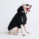 Halloween-Hundeh hoodie – Skelett