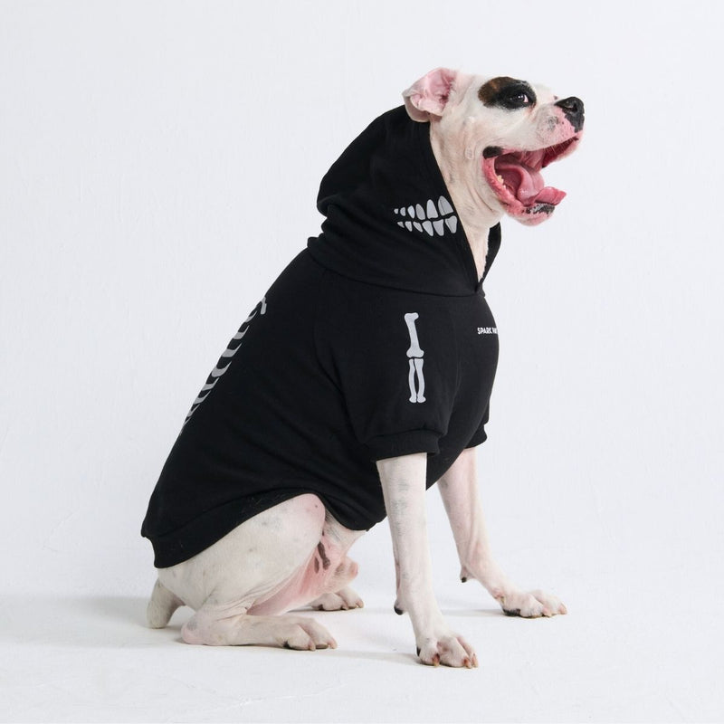 Halloween-Hundeh hoodie – Skelett