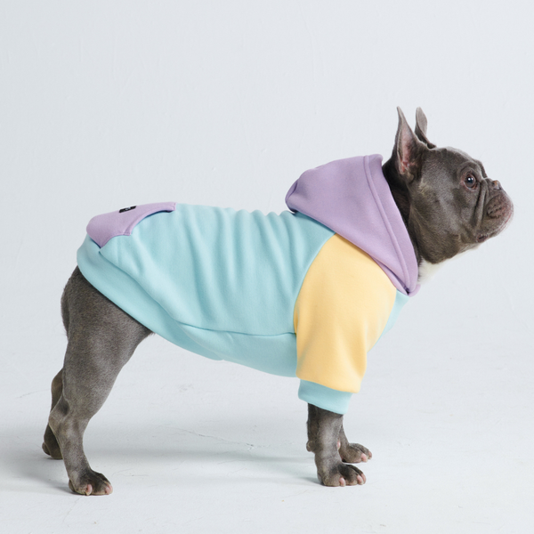 Tagtraum Hunde Hoodie